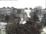 http://images6.fotosik.pl/443/54a00c2d1a6b28d3m.jpg