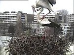 http://images6.fotosik.pl/443/9b7f0cdaa8a2321dm.jpg