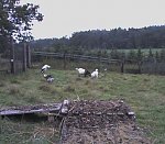 http://images6.fotosik.pl/530/b51536790d54f74bm.jpg