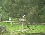 http://images6.fotosik.pl/537/f5900b014c425ed4m.jpg