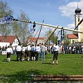 Stawianie słupa podczas obchodów święta drzewka majowego - Bawaria Regensburg