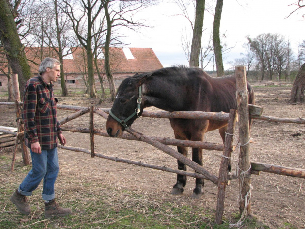 Karuś #Fundacja #Tara #Nieszkowice #Scarlet