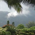 #wyspa #ocean #Kaui #Hawaje #góry #kwiaty #wodospad #chmury #piasek