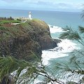 #wyspa #ocean #Hawaje #Kaui #drzewa #palma #piasek #woda #wodospad #góry #niebo #zielen #pajak