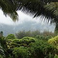 #wyspa #ocean #Kaui #Hawaje #góry #kwiaty #wodospad #chmury #piasek