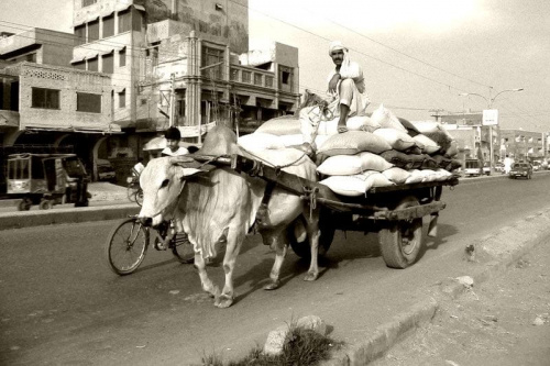 Pakistan