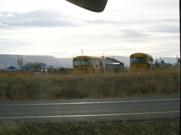 Gillig School Bus