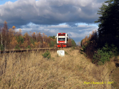 SA132-004 jako pociąg 58725 Chojnice - Piła na szlaku między Skórką a Piła Głowną #kolej #jesień #szynobus #SA132 #PKP