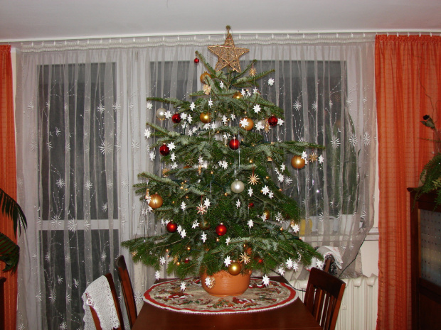 Boże Narodzenie 2007 w Zębie k. Zakopanego #choinka