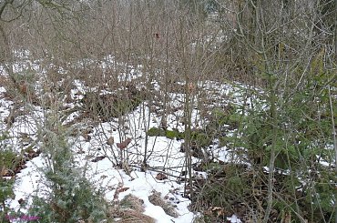 Cmentarz w Babrostach #CmentarzWBabrostach #Babrosty