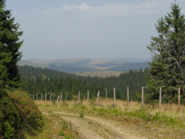 Ku odległym połoninom.