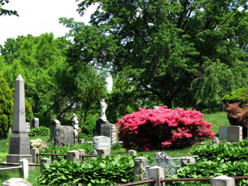 Majowy spacer po nowojorskim cmentarzu