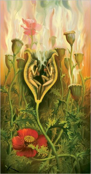 Vladimir Kush