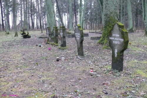 Mogiły wojenne z wojny 1914-15 #CmentarzWNidzie #MogiłyWojenne #OcalicOdZapomnienia #MazurskieCmentarze