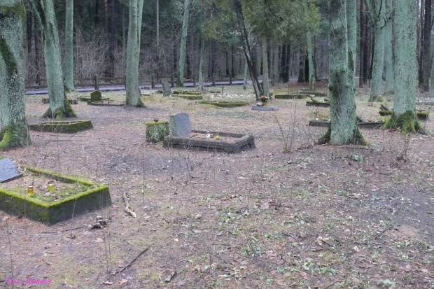 Cmentarz w Nidzie #CmentarzWNidzie #MogiłyWojenne #OcalicOdZapomnienia #MazurskieCmentarze