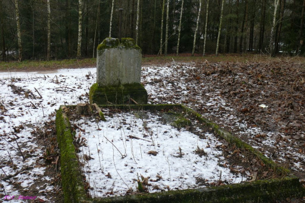 Cmentarz w Karwicy