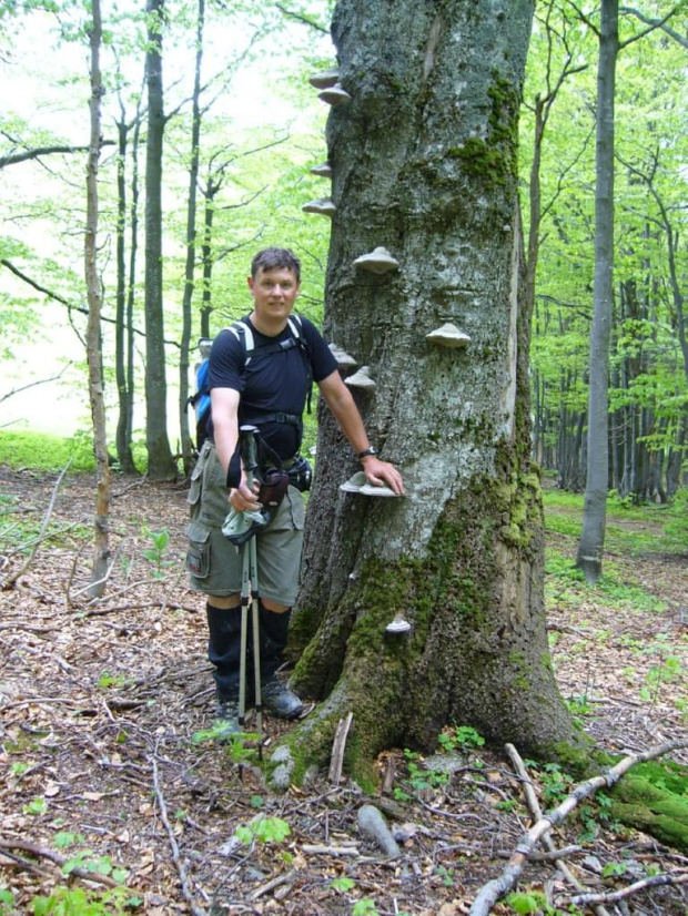 ,w drodze na Starościne-huby