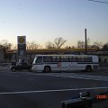 NY Bus