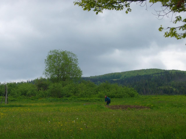 Libuchora-wykopki