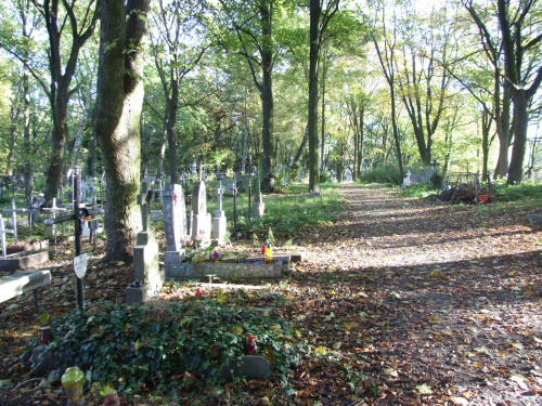 cmentarz na Golęcinie