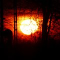 achodzące słoneczko
03.02.2008 r #ZachódSłońca