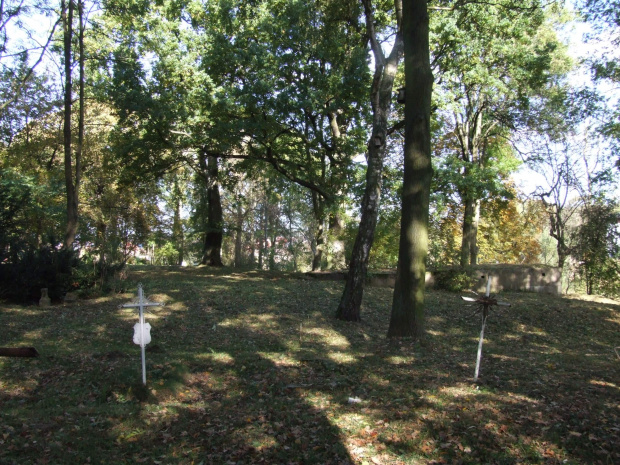 Cmentarz Warszewo