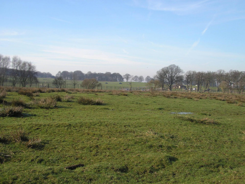 Knowsley Safari Park