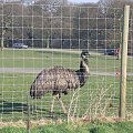 Knowsley Safari Park