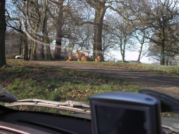 Knowsley Safari Park