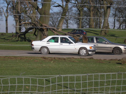 Knowsley Safari Park