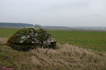 Schron obserwacyjny, widok na Lipniki #kochy #BunkryKocha #PunktObserwacyjny