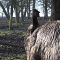 Knowsley Safari Park