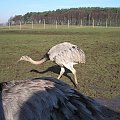 Knowsley Safari Park