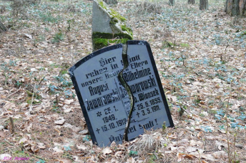 Cmentarz wiejski w Końcewie #CmentarzWKońcewie #MogiłyWojenne #MazurskieCmentarze #OcalićOdZapomnienia