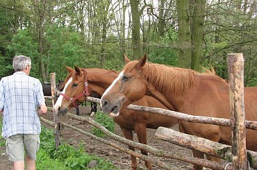 Witeź - 26 maja 07 #Fundacja #Tara #Nieszkowice #Scarlet