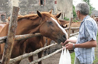 Witeź - 26 maja 07 #Fundacja #Tara #Nieszkowice #Scarlet