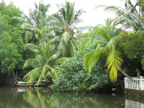Wyprawa na rzekę #SriLanka #tropik #równik #azja #wakacje #rzeka #beruwela #riverina