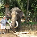 Sierociniec dla słoni