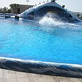 Teneryfa 2