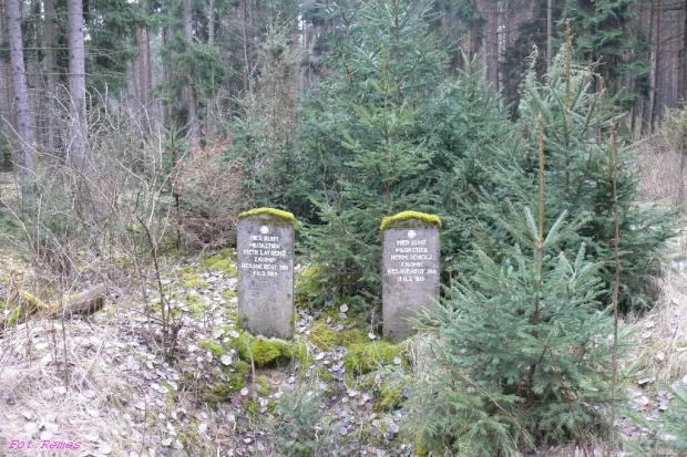 Muszkieter Dietrich Lafrenz i Hermann Scholz z 7 komp RES.INF.REGT 266 RPP. + 11.02.1914 #MogiłyWojenne #Ruda #MazurskieCmentarze