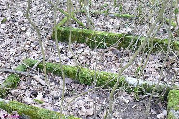 Cmentarz wiejski w Kaliszkach #CmentarzWKaliszkach #MazurskieCmentarze #Kaliszki