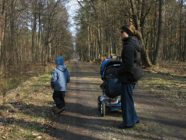 Puszcza Niepołomicka