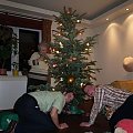 Wigilia 2007, akcja choinka
