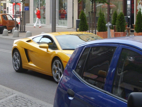 Gallardo