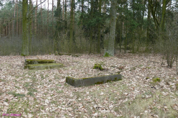 Zabielne - cmentarz wiejski #Zabielne #CmentarzWiejski #MazurskieCmentarze