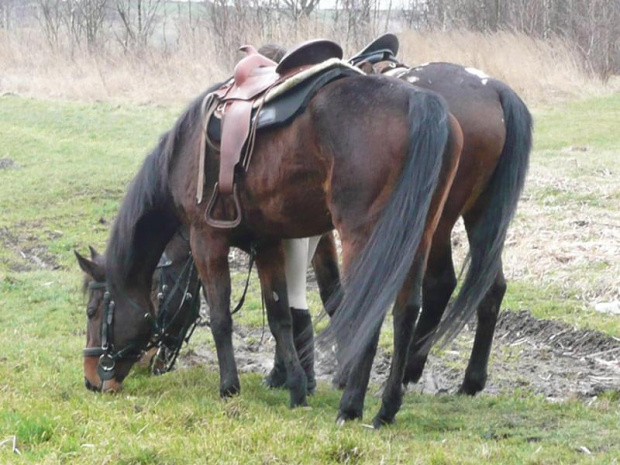 nad rzeczką opodal...11 krzaczka...