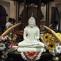 #SriLanka #budda #ŚwiątyniaZębaBuddy #KandyAzja #tropik #kwiaty