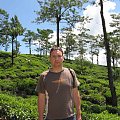 #cejlon #ceylon #góry #herbata #NuwaraElia #PlantacjaHerbaty #SriLanka #tropik #równik