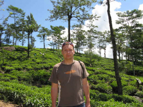 #cejlon #ceylon #góry #herbata #NuwaraElia #PlantacjaHerbaty #SriLanka #tropik #równik