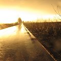Hajnówka - Nawet podczas pochmurnych dni czasami wygląda słońce nastrajając nas optymistycznie #hajnówka #wygoda #poddolne #droga #deszcz #słońce